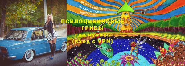 гидропоника Верхнеуральск
