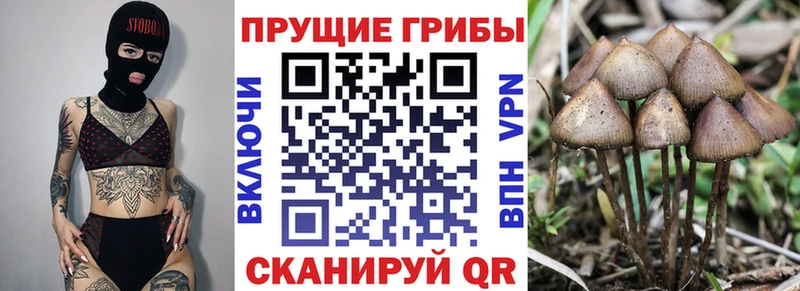 Псилоцибиновые грибы прущие грибы  Петушки 